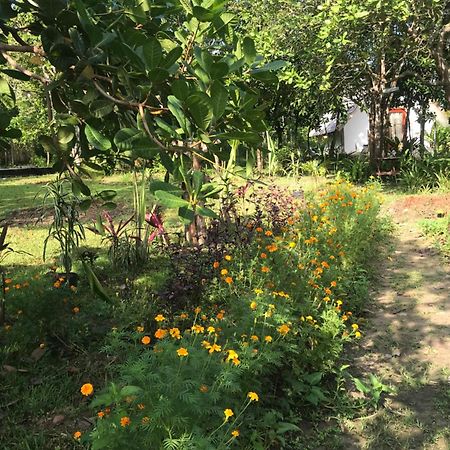 Balili Garden At Nacpan Villa Ел Нидо Екстериор снимка