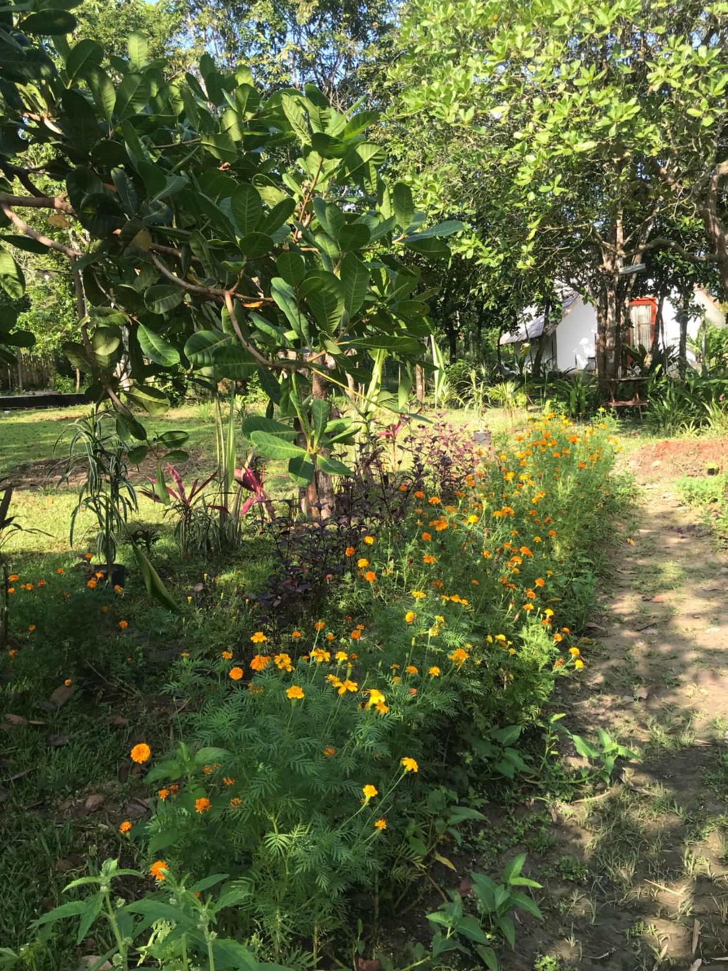 Balili Garden At Nacpan Villa Ел Нидо Екстериор снимка