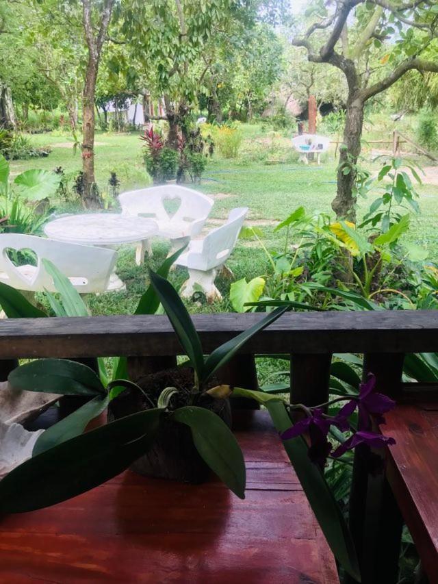 Balili Garden At Nacpan Villa Ел Нидо Екстериор снимка