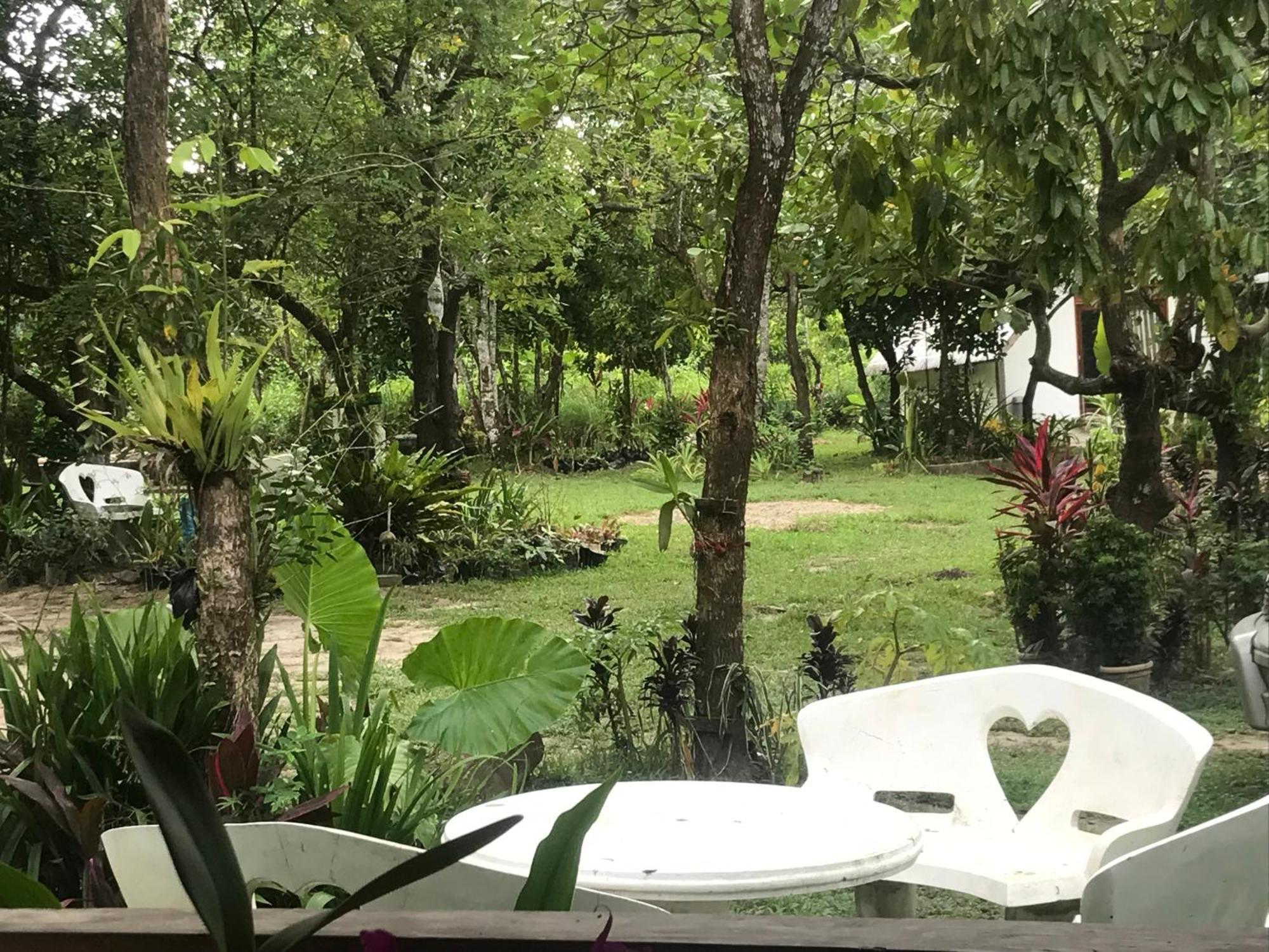 Balili Garden At Nacpan Villa Ел Нидо Екстериор снимка